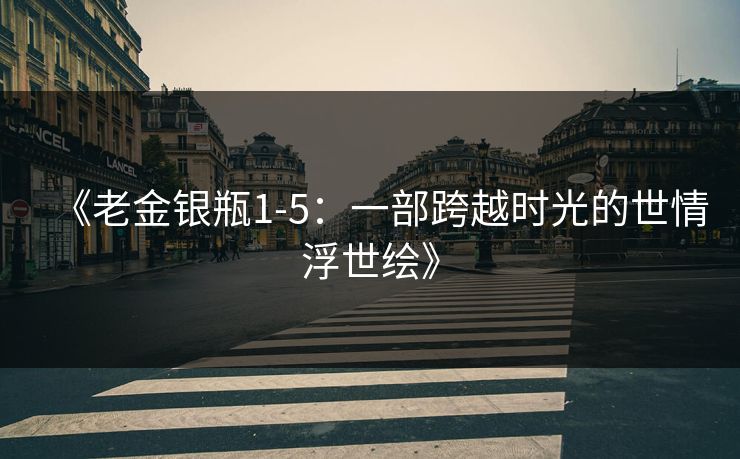 《老金银瓶1-5：一部跨越时光的世情浮世绘》