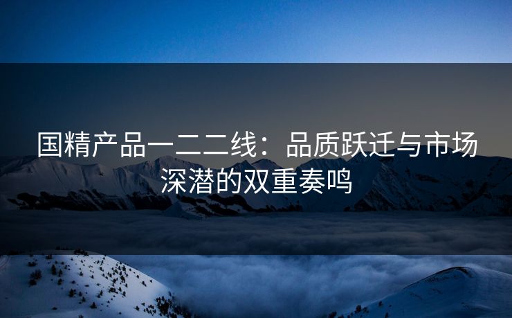 国精产品一二二线：品质跃迁与市场深潜的双重奏鸣