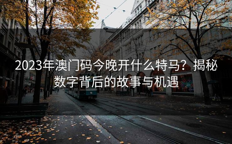 2023年澳门码今晚开什么特马？揭秘数字背后的故事与机遇