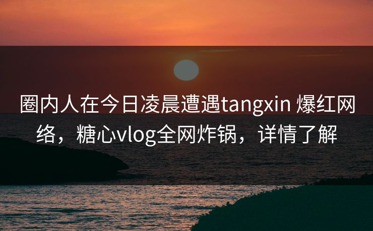 圈内人在今日凌晨遭遇tangxin 爆红网络，糖心vlog全网炸锅，详情了解